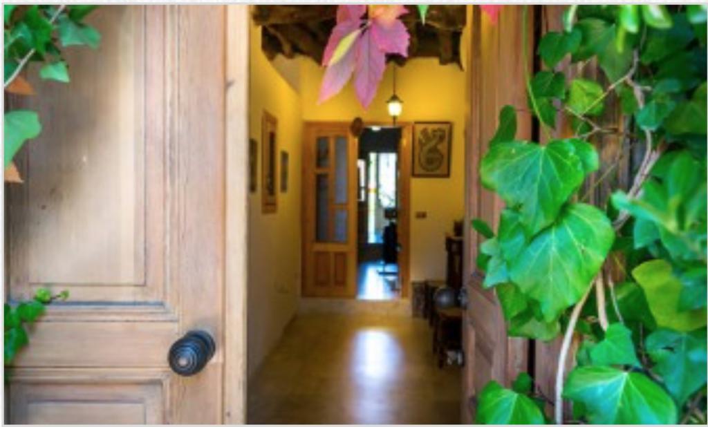 El Achkar Guesthouse Beit ed-Dine Ngoại thất bức ảnh